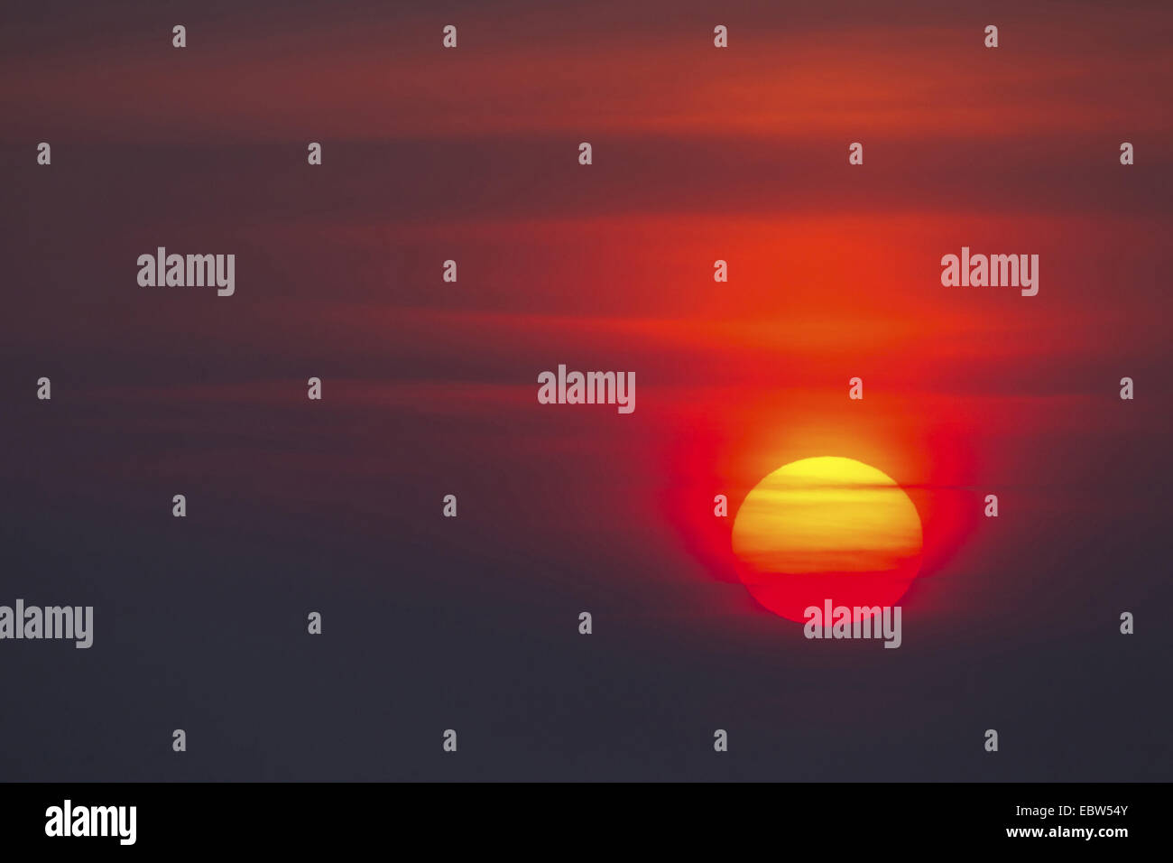 morning sun, Germany, Rhineland-Palatinate Stock Photo