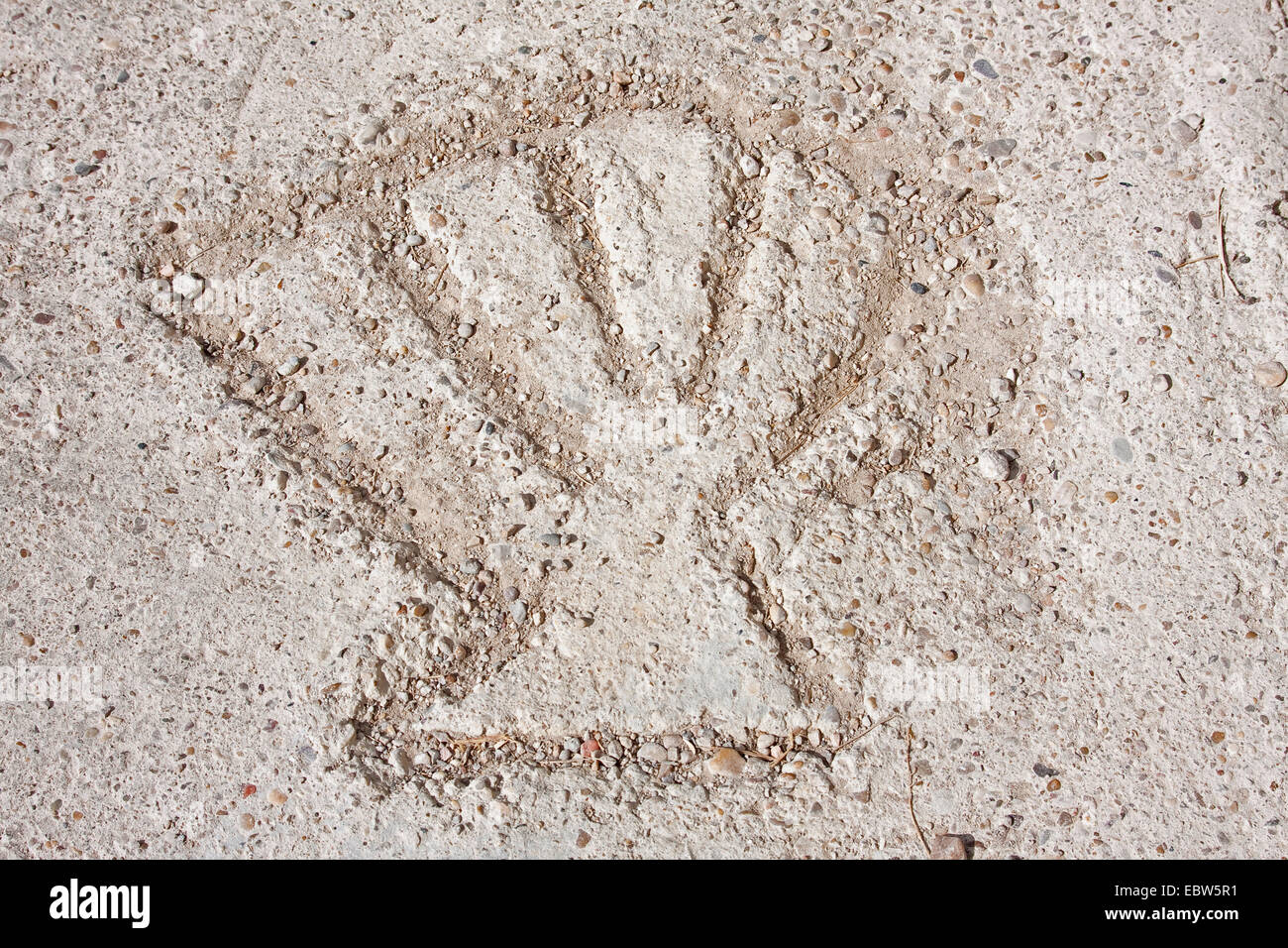 symbol of a scallop shell carved into a road surface, Spain, Kastilien und Le¾n, Burgos, Hontanas Stock Photo