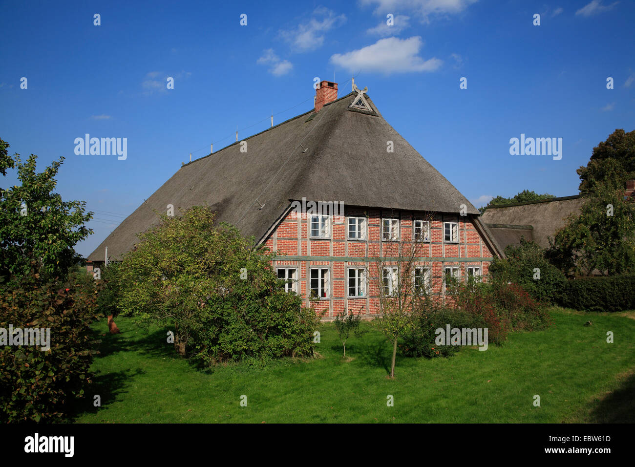 Thatched house at river Elbe, Konau,  Amt Neuhaus, Lower Saxony, Germany, Europe Stock Photo