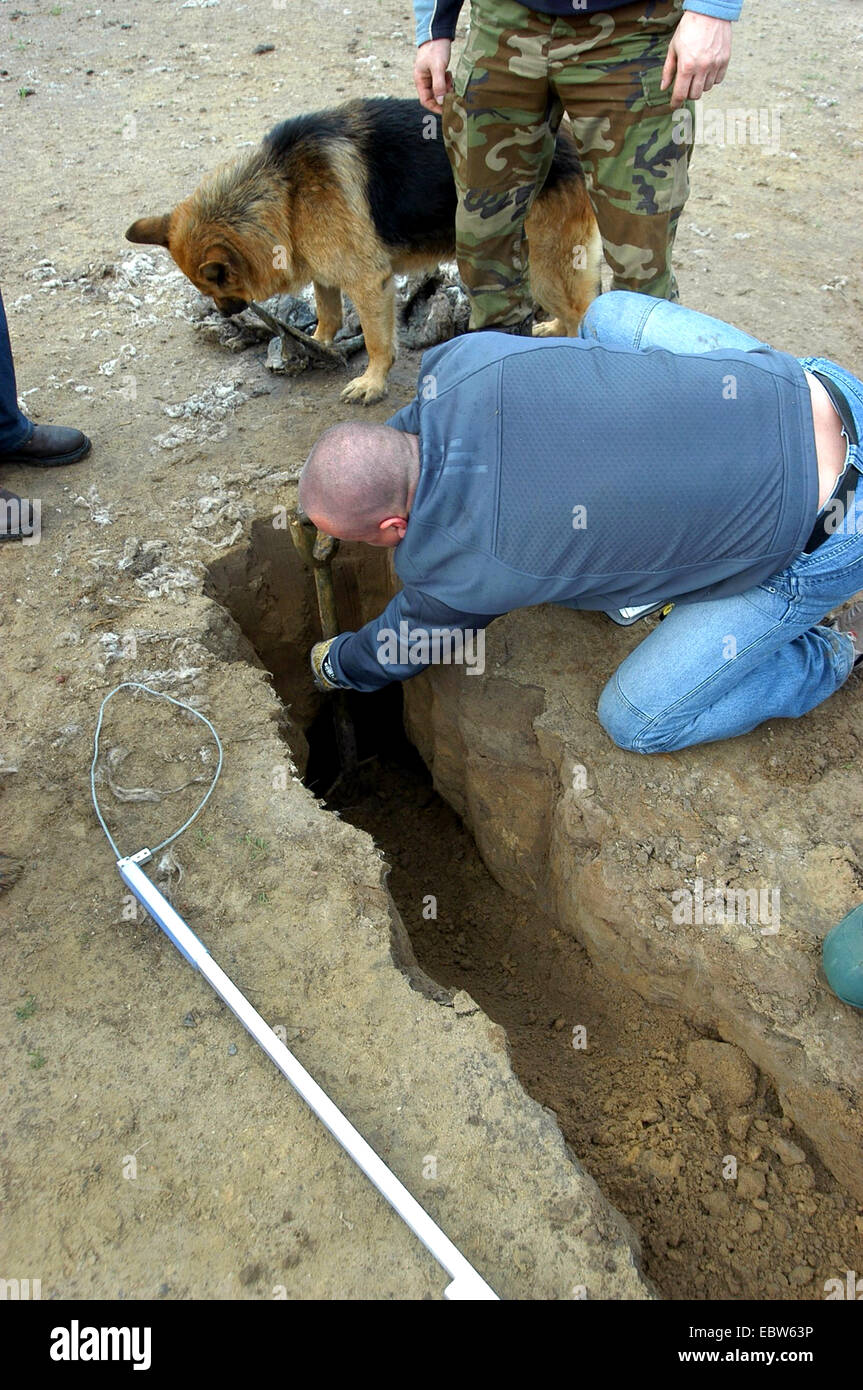 , animal rights activist getting dog out of dugout, Germany, Stock Photo