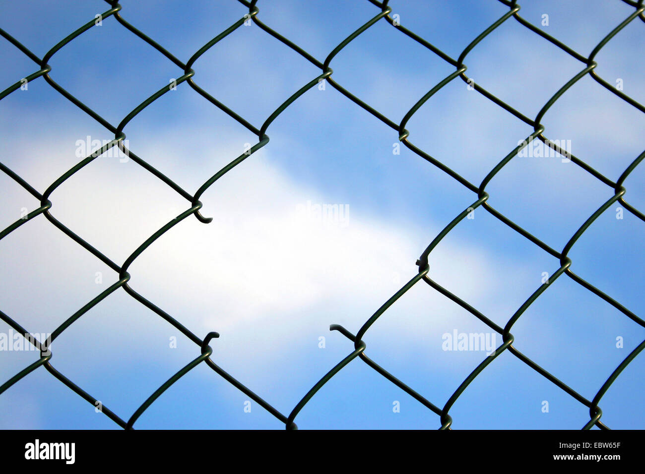 a hole in the wire mesh Stock Photo
