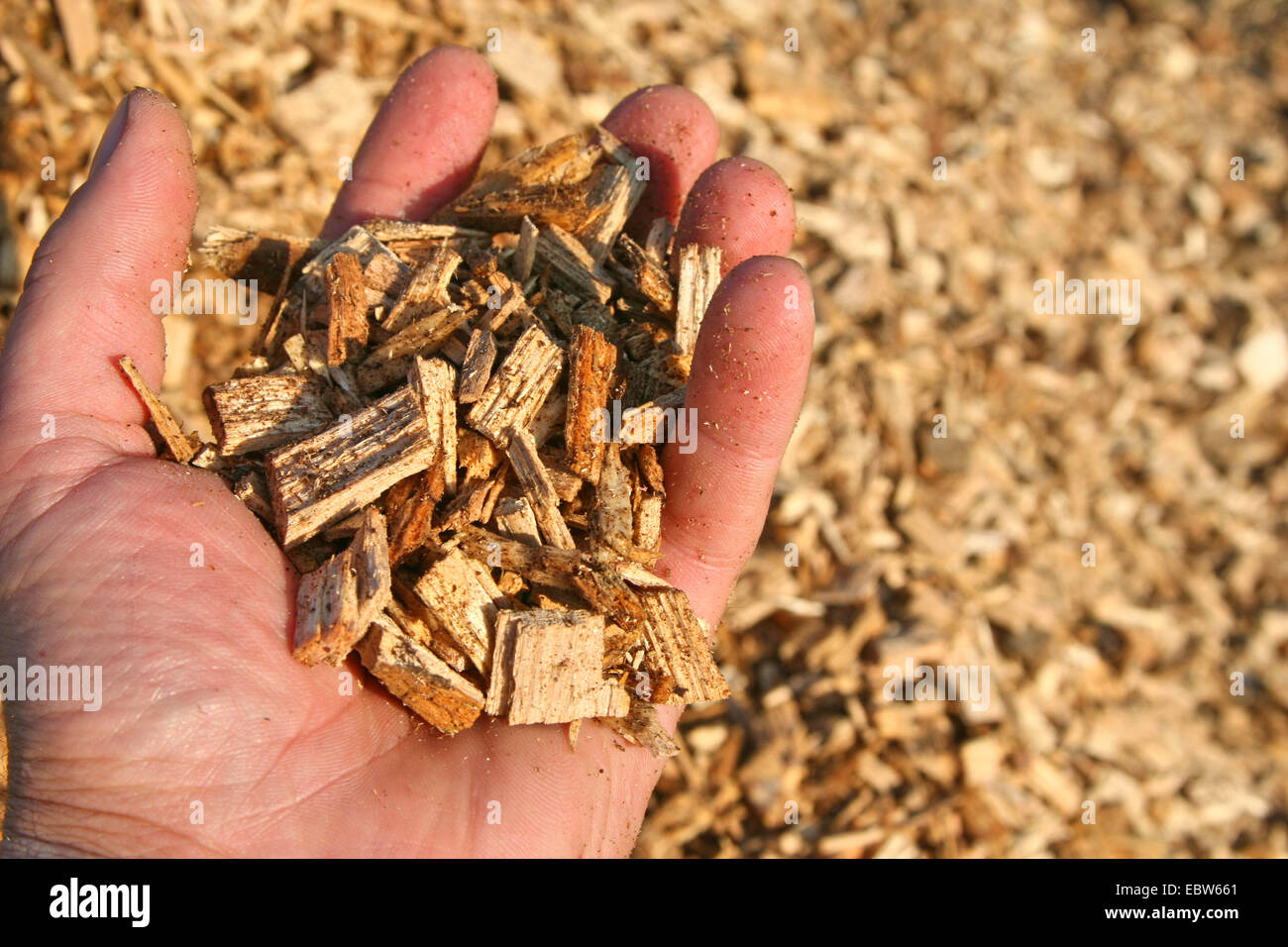 Hands holding wood chips hires stock photography and images Alamy