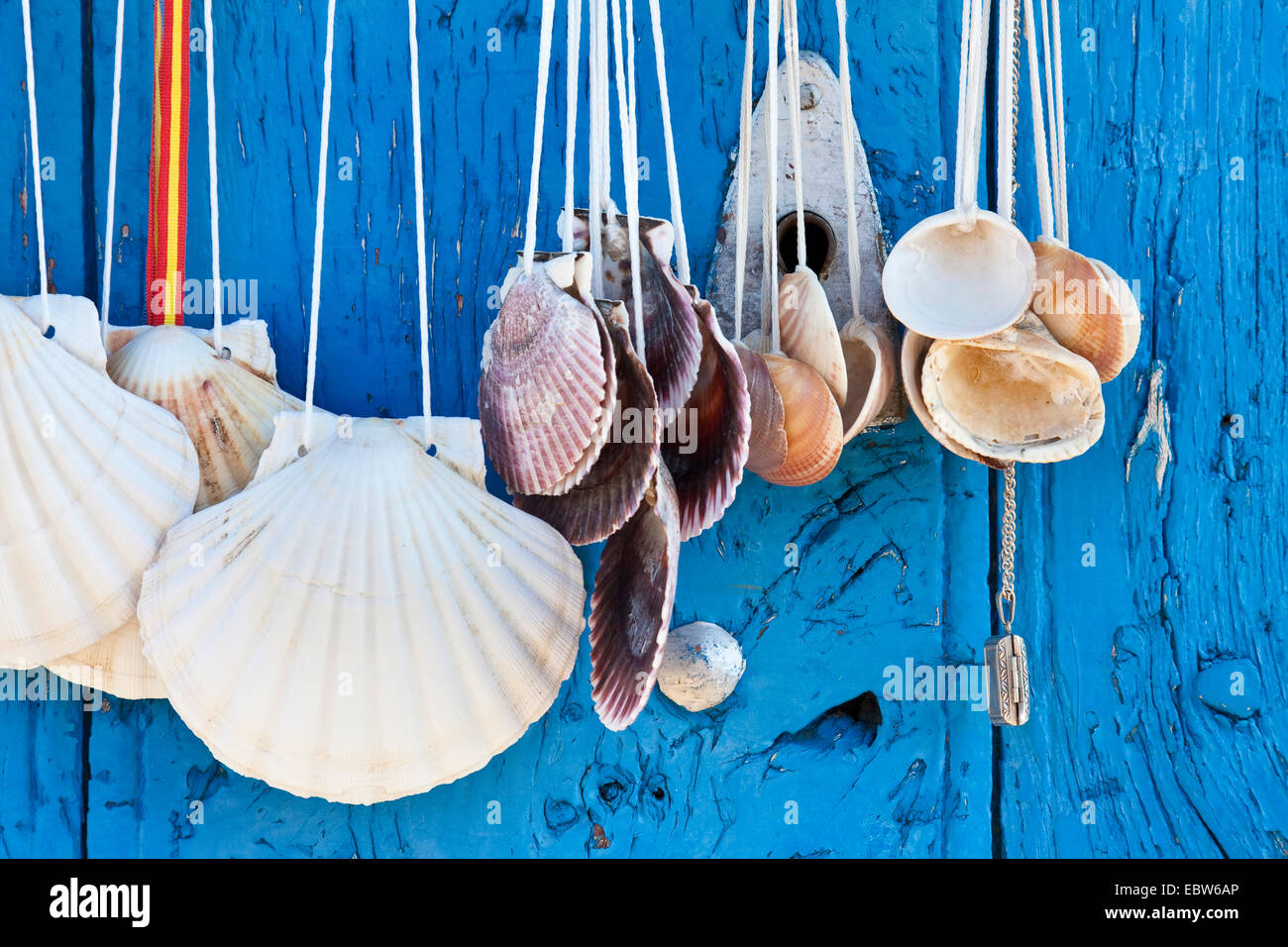 pilgrim's scallop haning at a blue wooden door, Spain, Kastilien und Le¾n, Santa Catalina de Somoza Stock Photo