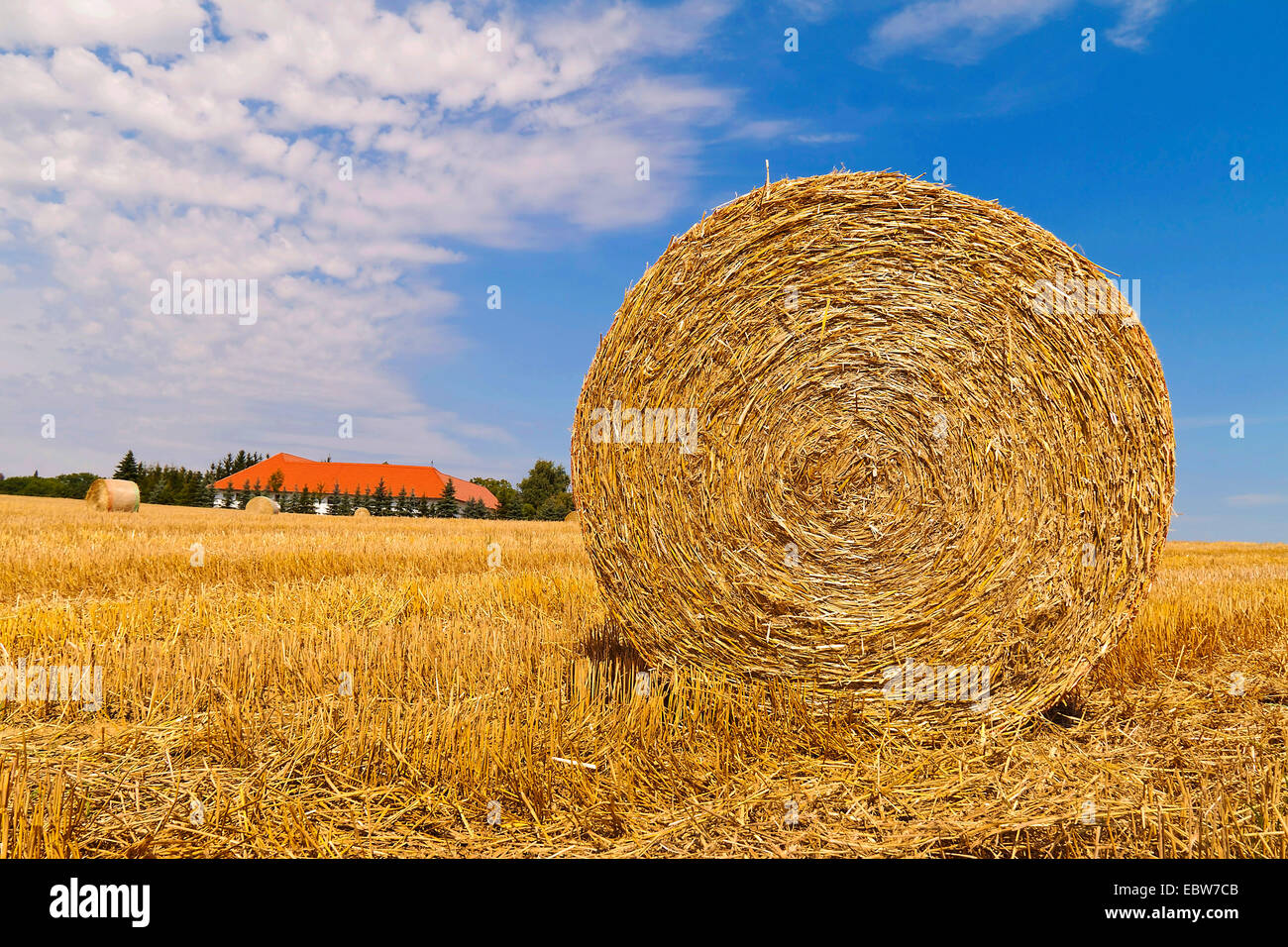 stubble field with bale of straw after harvest, Austria Stock Photo - Alamy