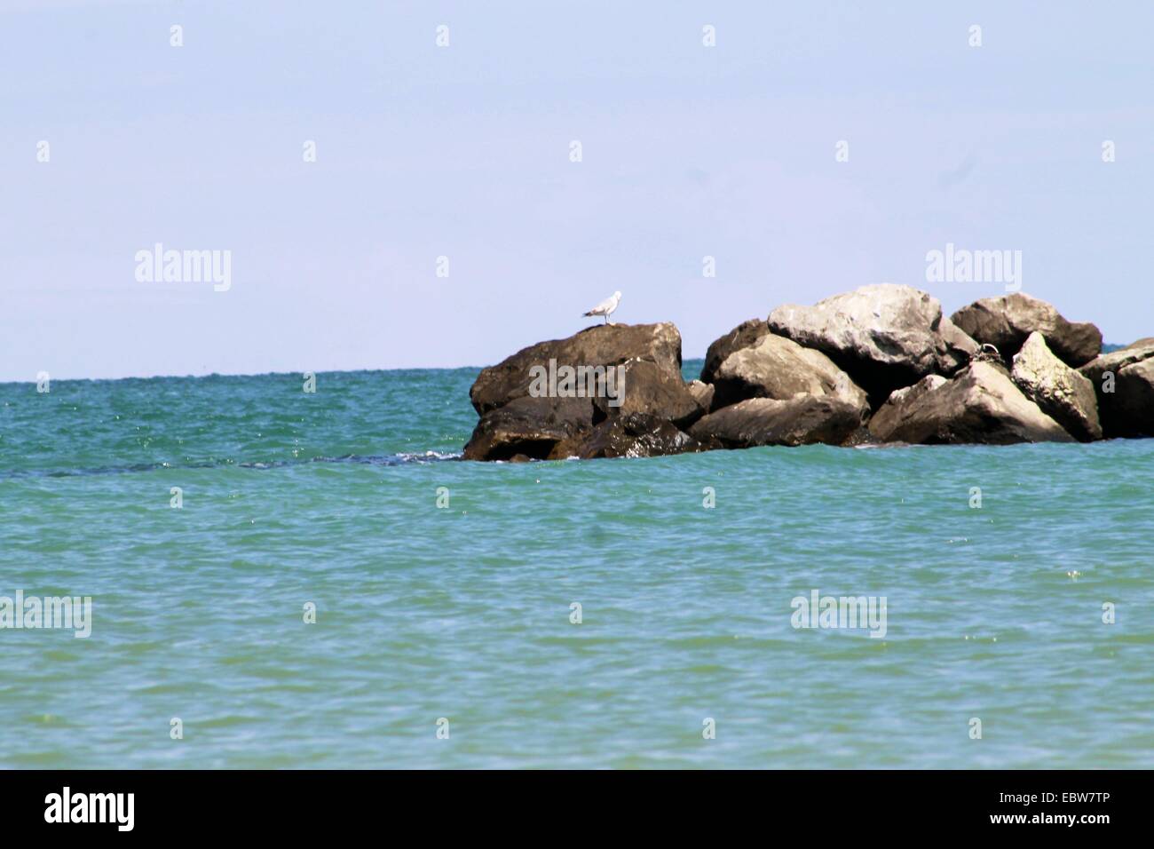 rocks on the Adriatic sea in Italy Stock Photo - Alamy