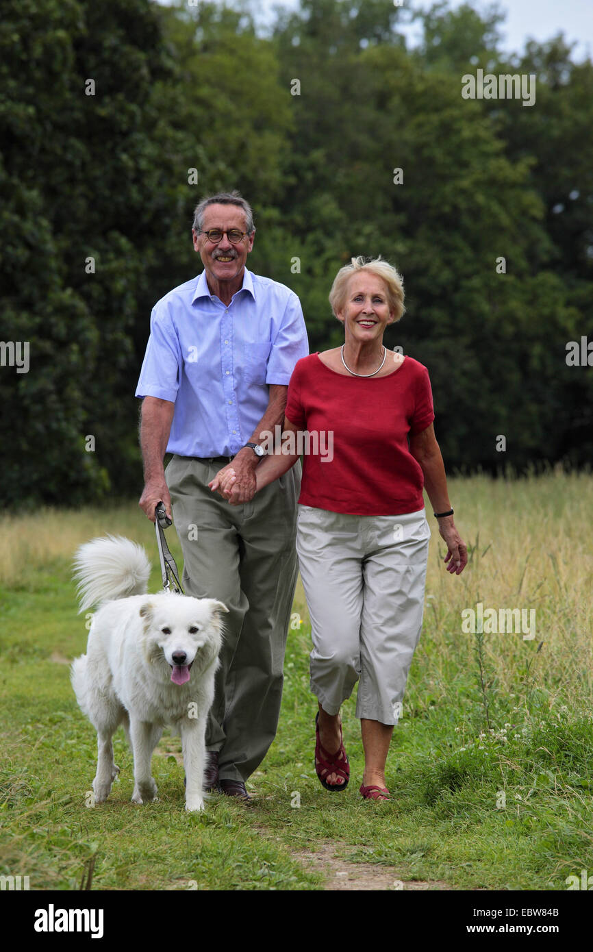 senior couple walking with a dog Stock Photo - Alamy