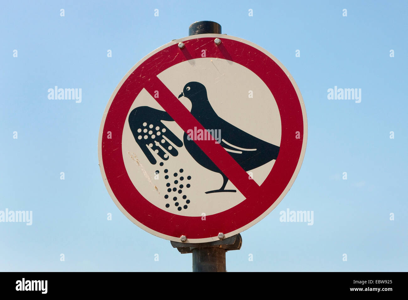 sign 'don't feed doves', Germany, Rhineland-Palatinate Stock Photo