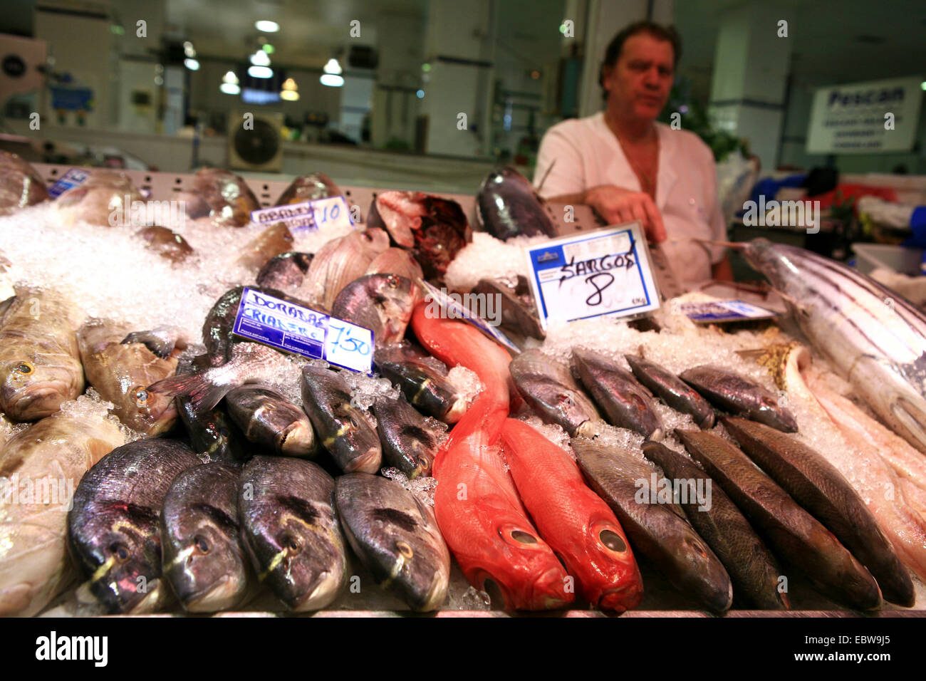 freshly caught fish at the Mercado de Nuestra Senora de Africa, Canary Islands, Tenerife, Santa Cruz De Tenerife Stock Photo