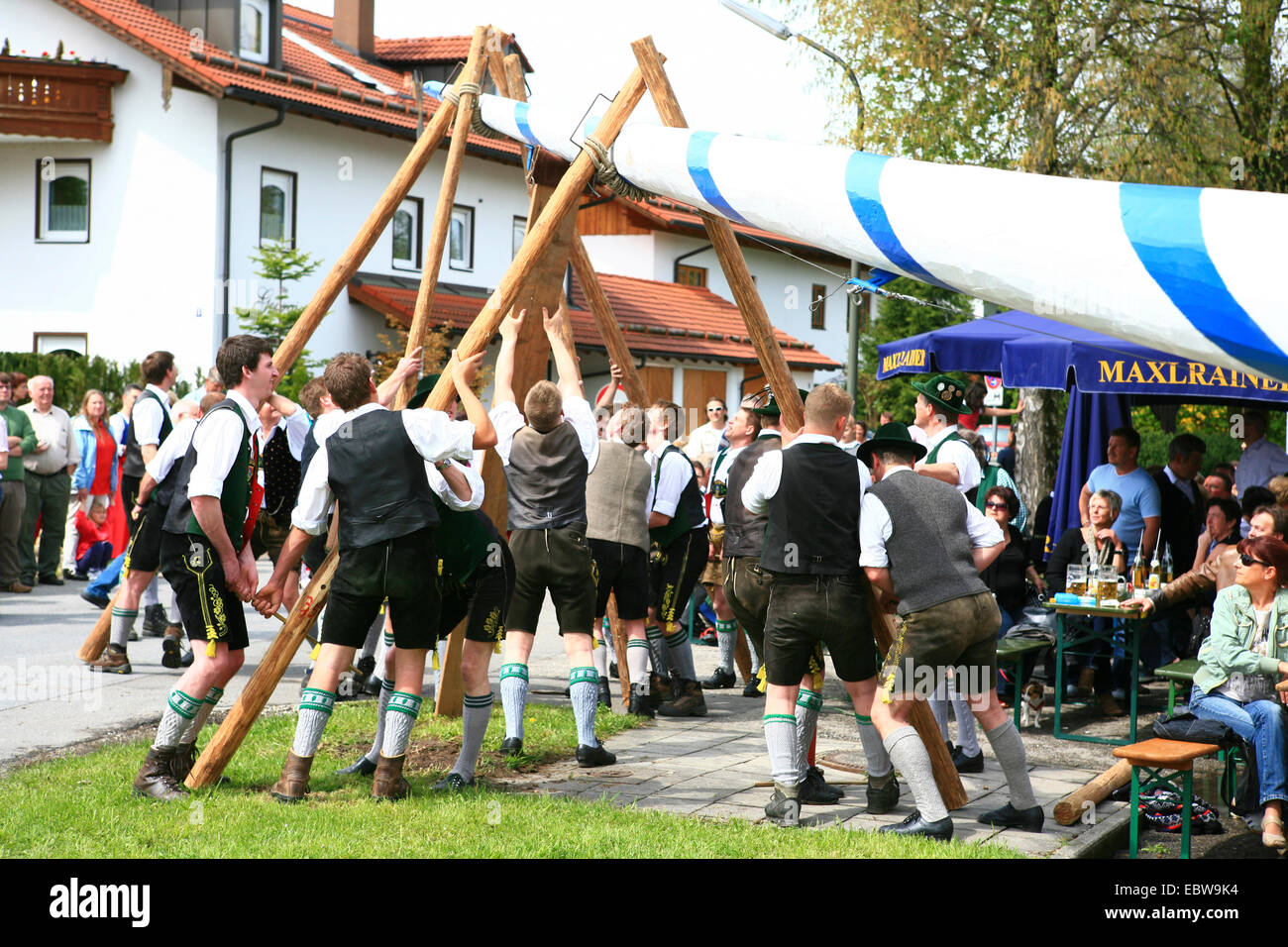 traditional errection of a maypole, Germany, Bavaria, Bad Aibling Stock Photo