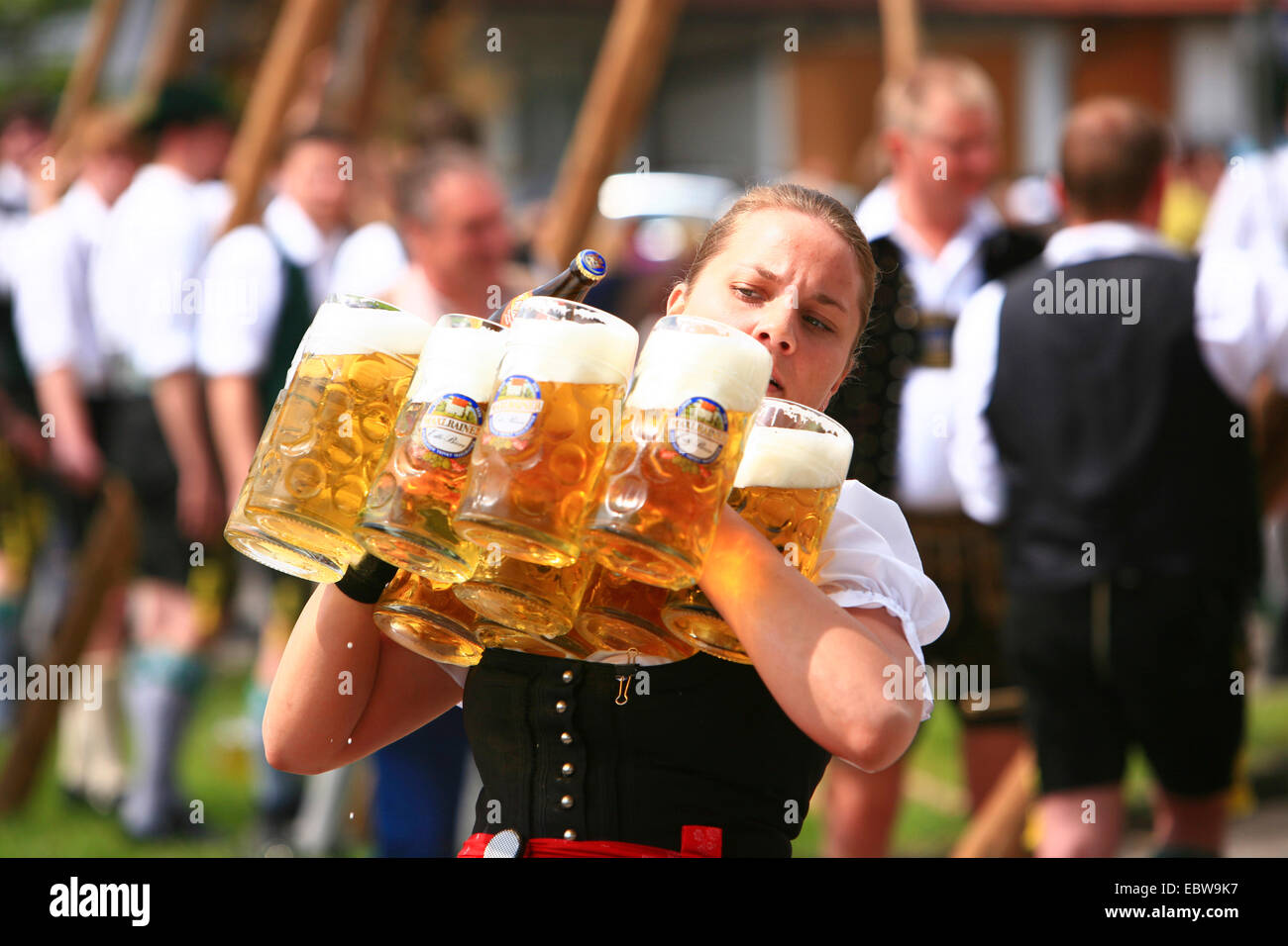 waitress carrying lots of beer mugs at the traditional errection of a maypole, Germany, Bavaria, Willing , Bad Aibling Stock Photo