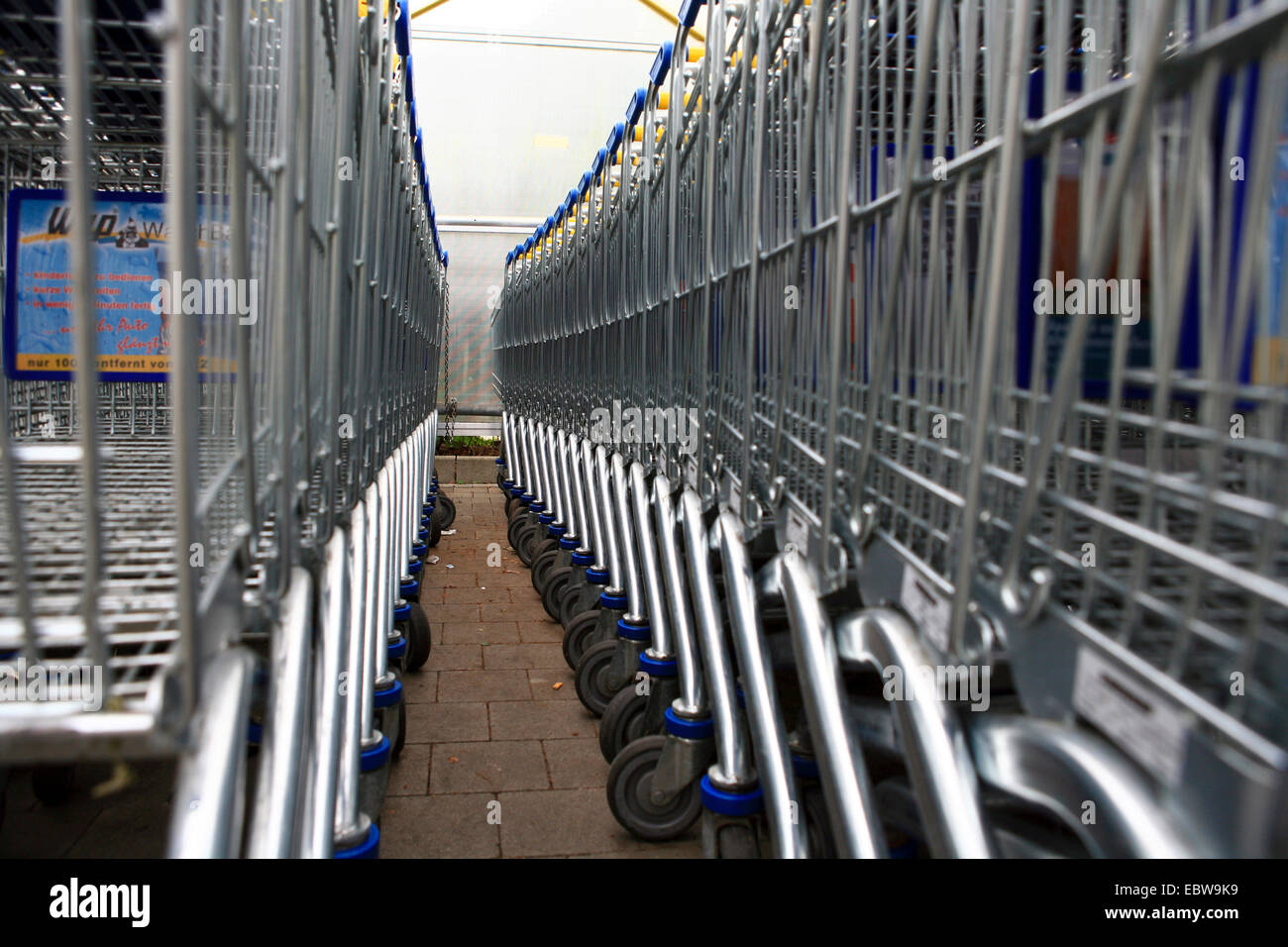 rows of supermarket trolleys Stock Photo