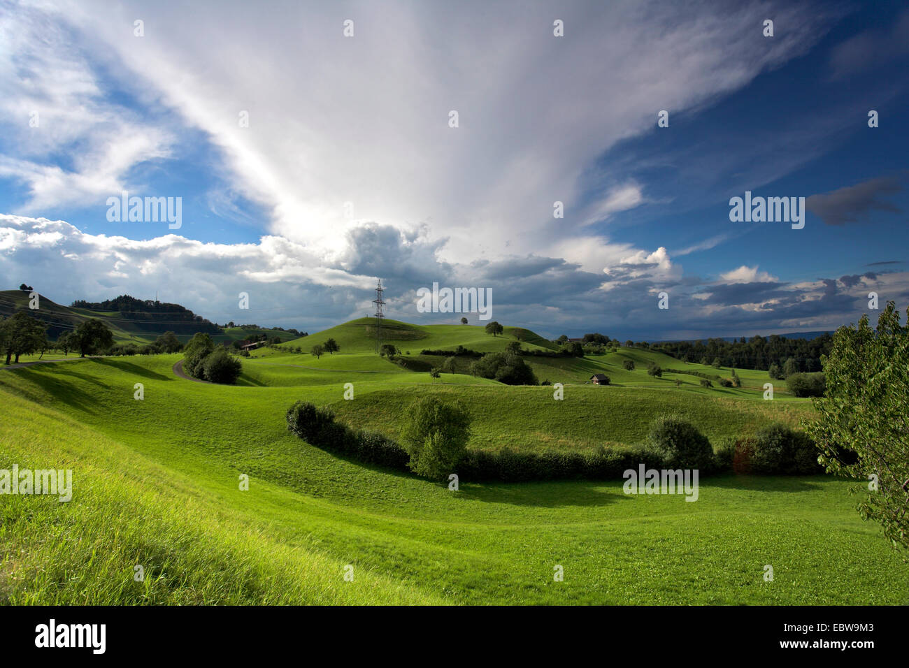 landscape in the evening, Switzerland, Kanton Zug Stock Photo