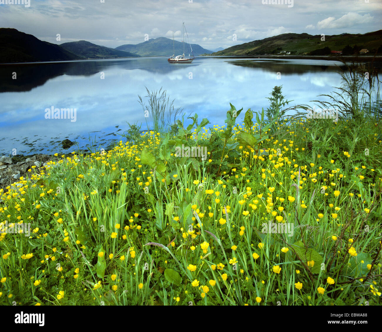 GB - SCOTLAND:  Loch Alsh in the Highlands Stock Photo