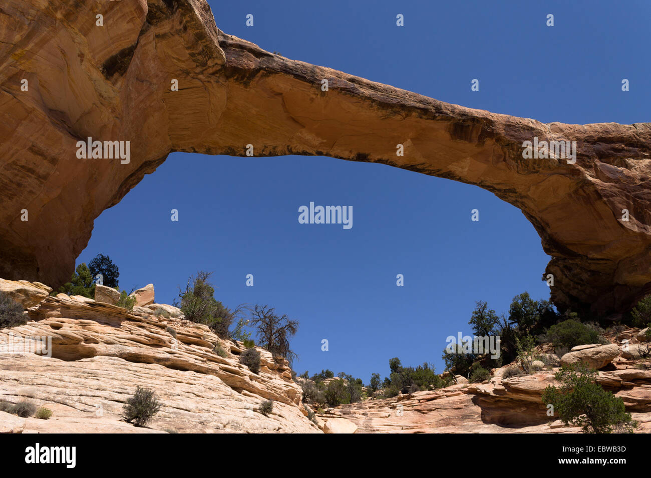 Natural bridge National park, Utah usa Stock Photo Alamy
