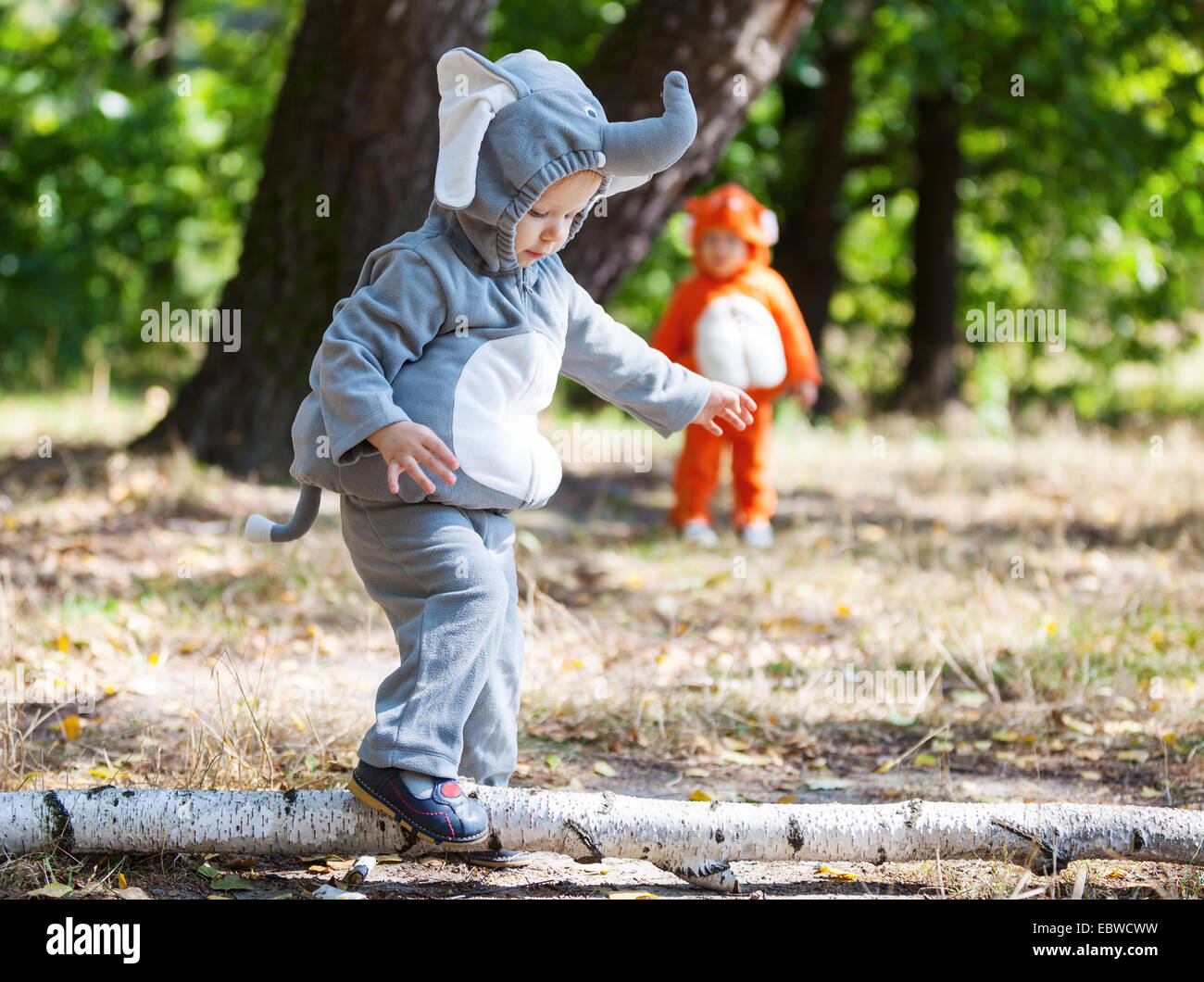 Two toddler boys dressed in animal costumes in autumn park, focus on child in elephant costume Stock Photo - Alamy Two toddler boys dressed in animal costumes in autumn park, focus on child in elephant costume Stock Photo - Alamy