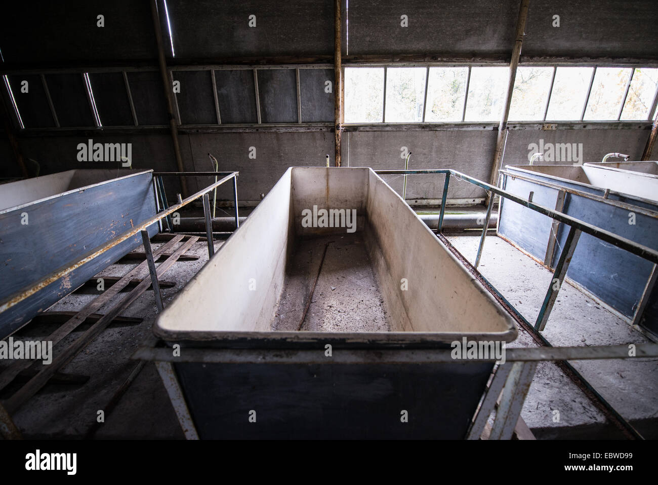 huge tubs in former radioecological laboratory (fish farm before