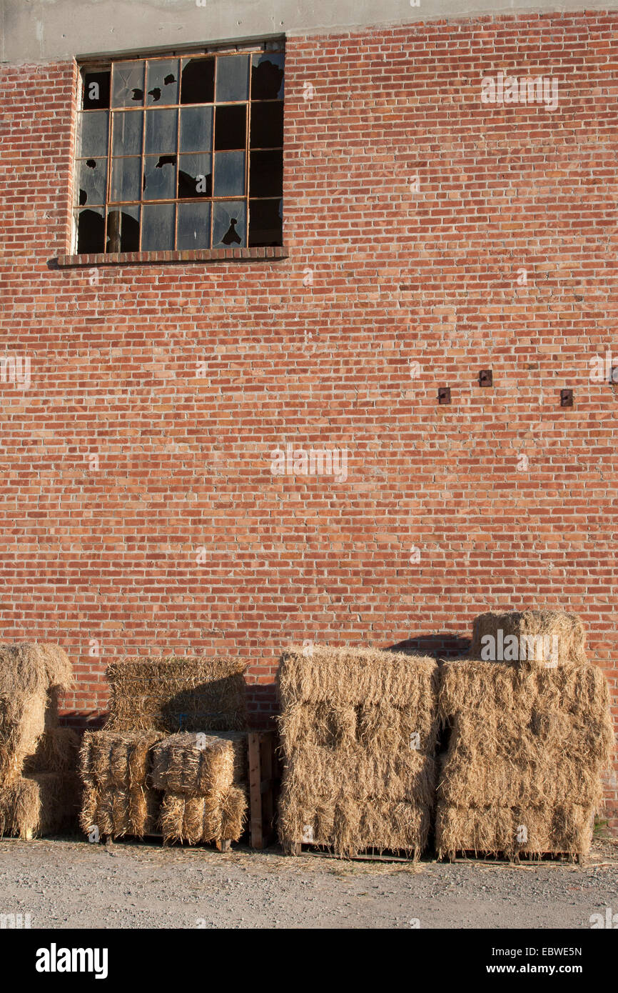 Urban images from Hunters Point in San Francisco, California. Stock Photo