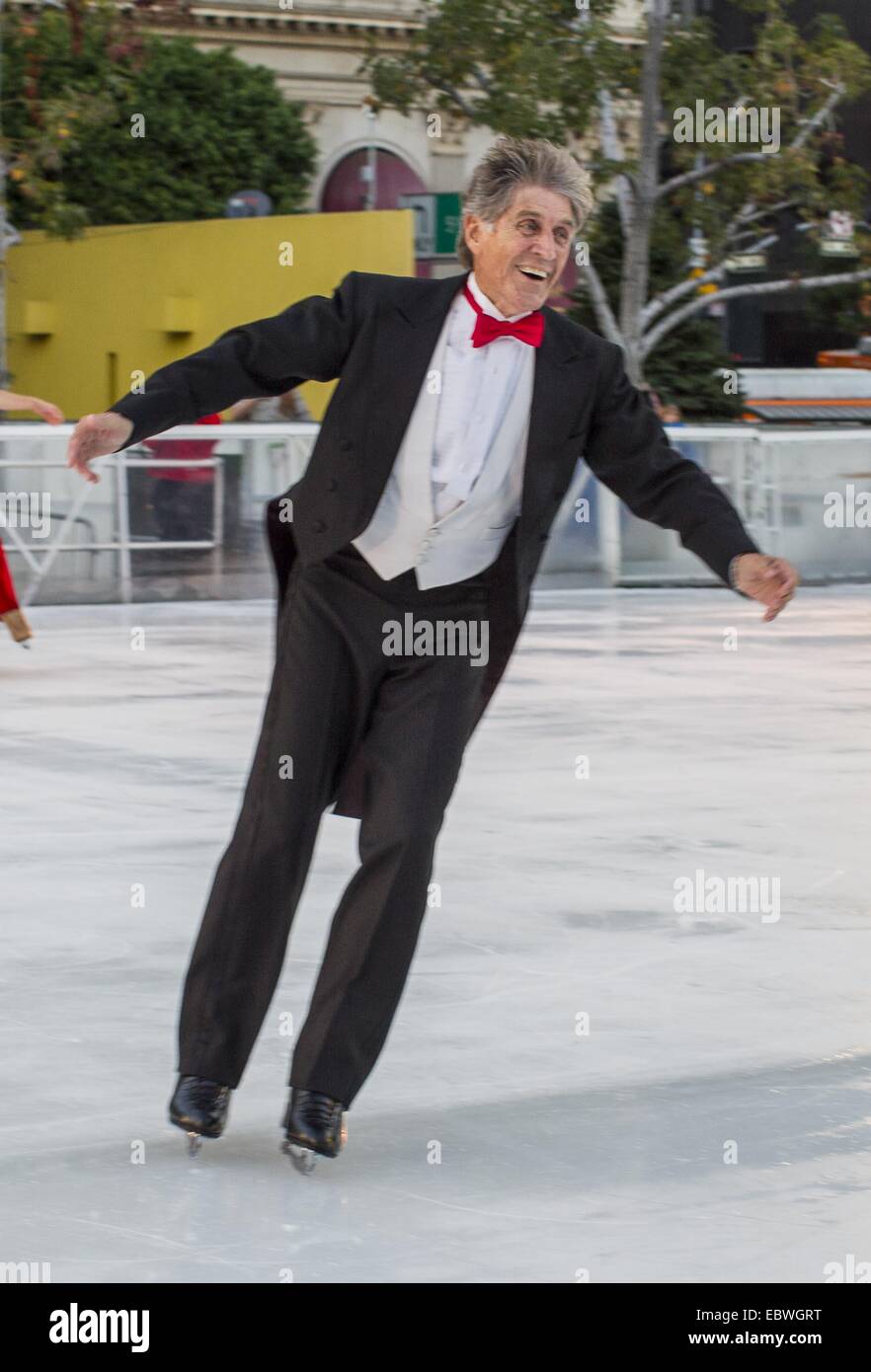 Los Angeles, California, USA. 4th Dec, 2014. Legendary Skating Hall of