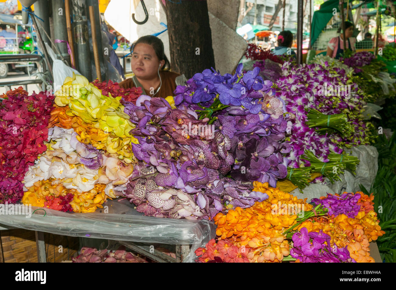 Orchids Display at Flower Market, Bangkok, Thailand Stock Photo