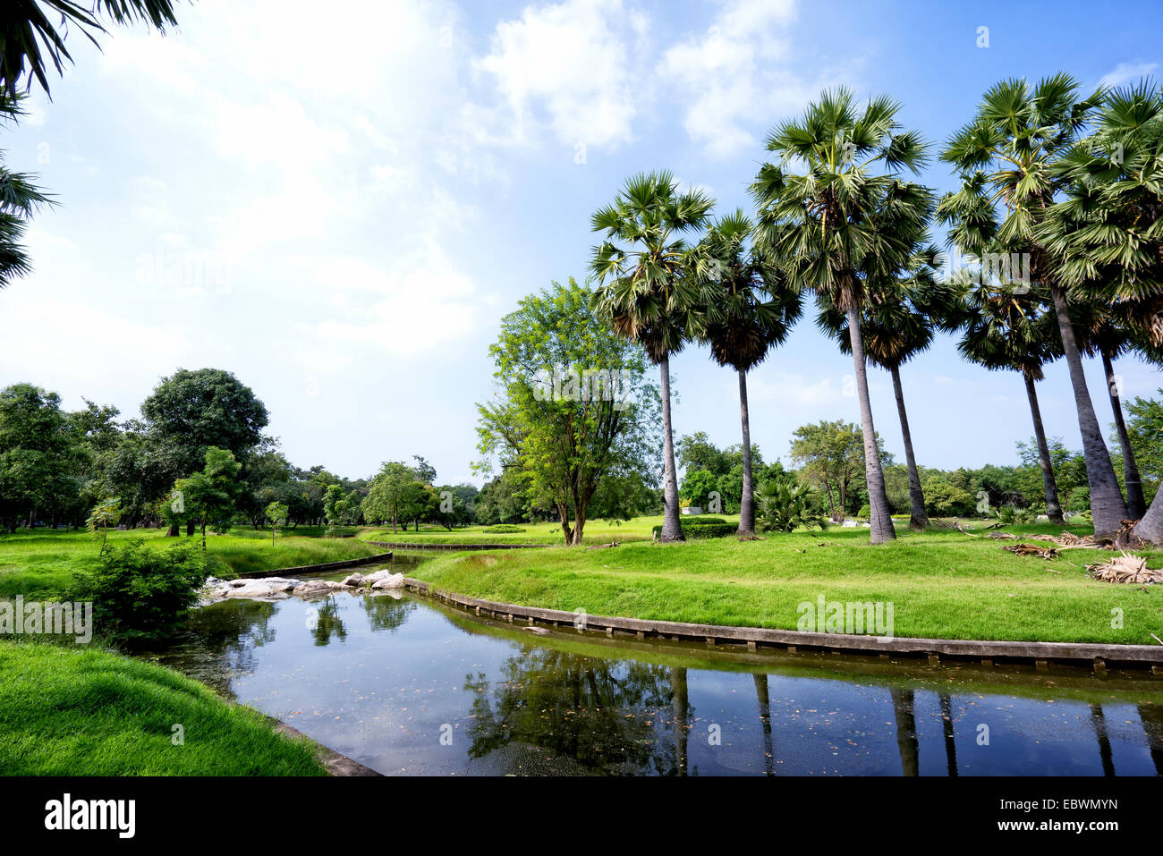 View of green trees in the park Stock Photo - Alamy