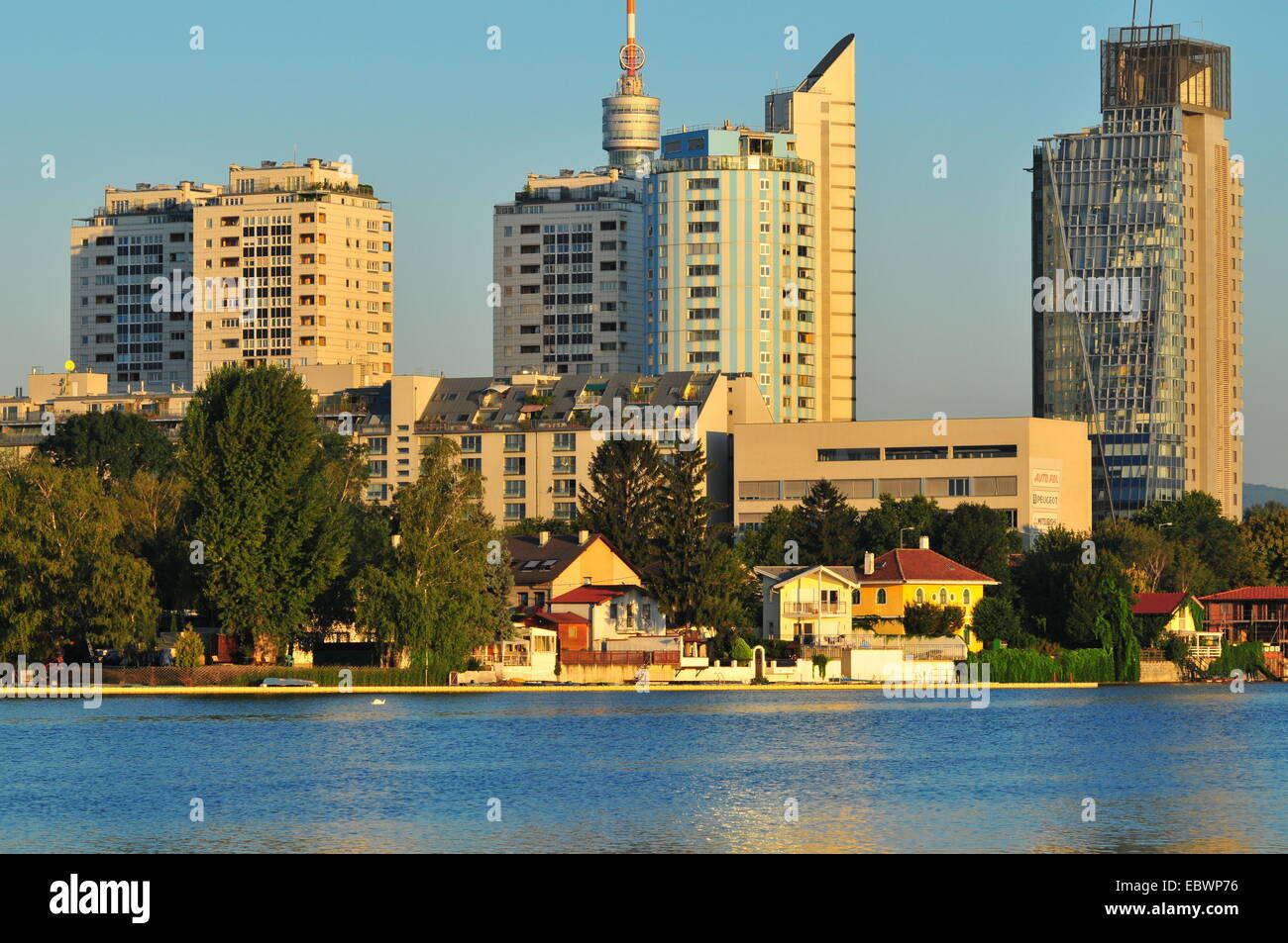 Vienna singles austria