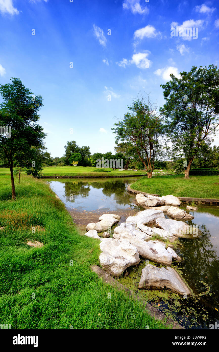 View of green trees in the park Stock Photo - Alamy