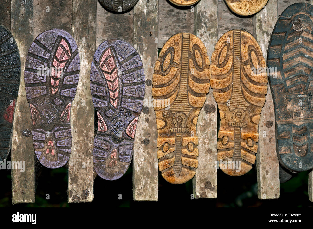 Drying rack for rubber boots, Tambopata Nature Reserve, Región Madre de