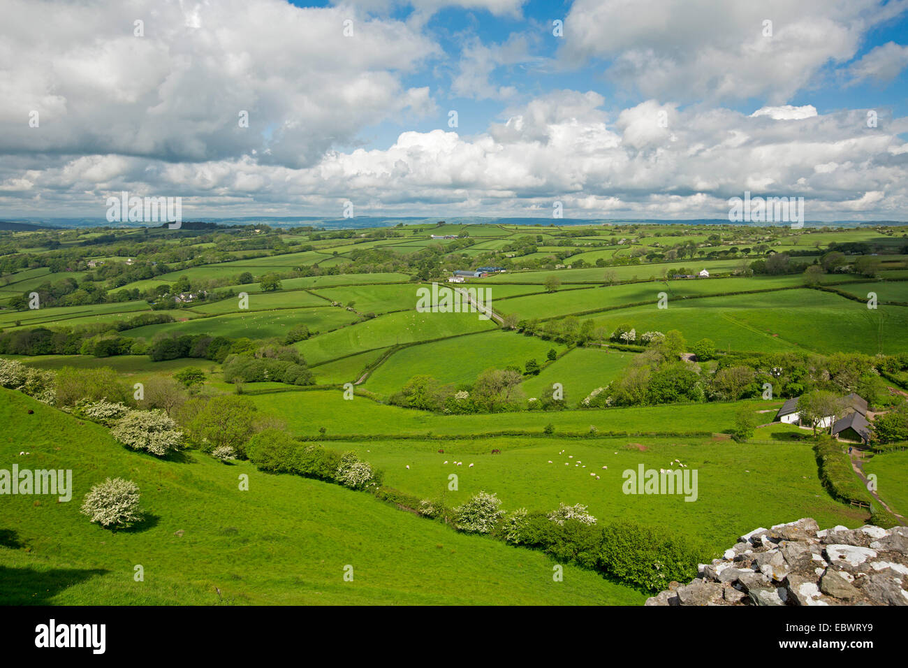 Spectacular view of vast emerald farmlands bordered by hedgerows on hills & valleys stretching to horizon & blue sky - in Wales Stock Photo