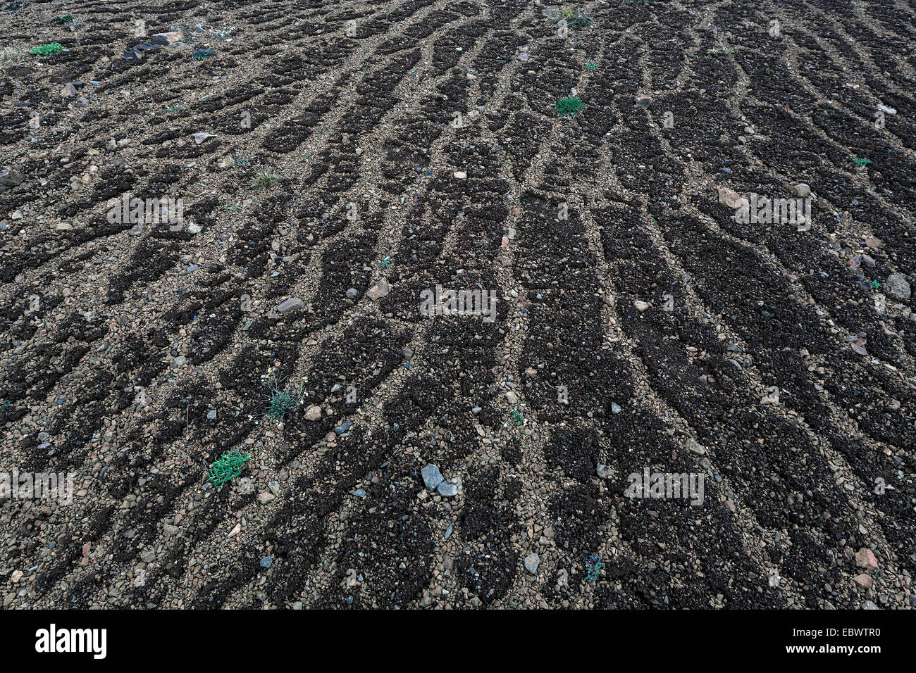 Rocky soil hi-res stock photography and images - Alamy