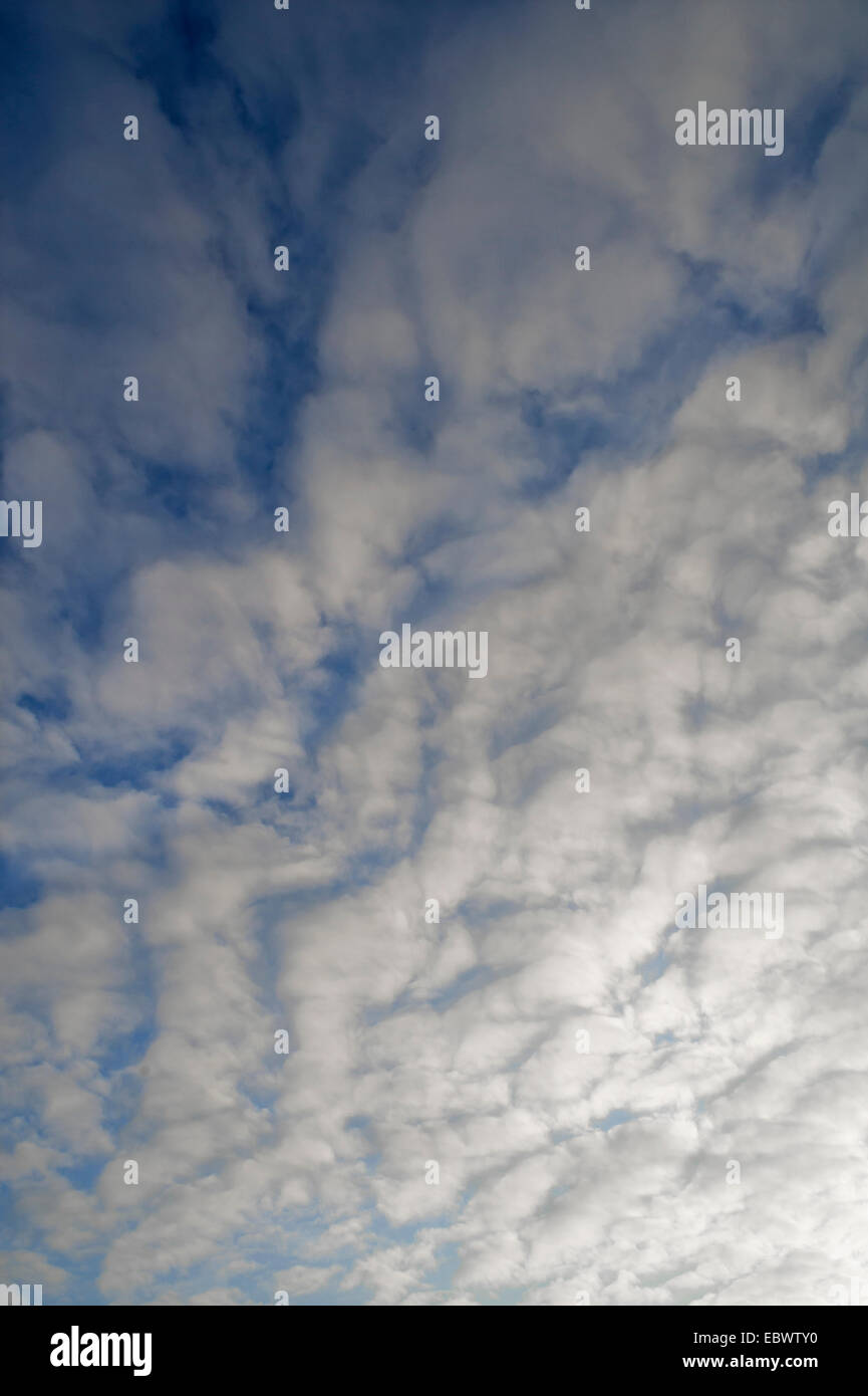 Fleecy clouds, altocumulus, Germany Stock Photo