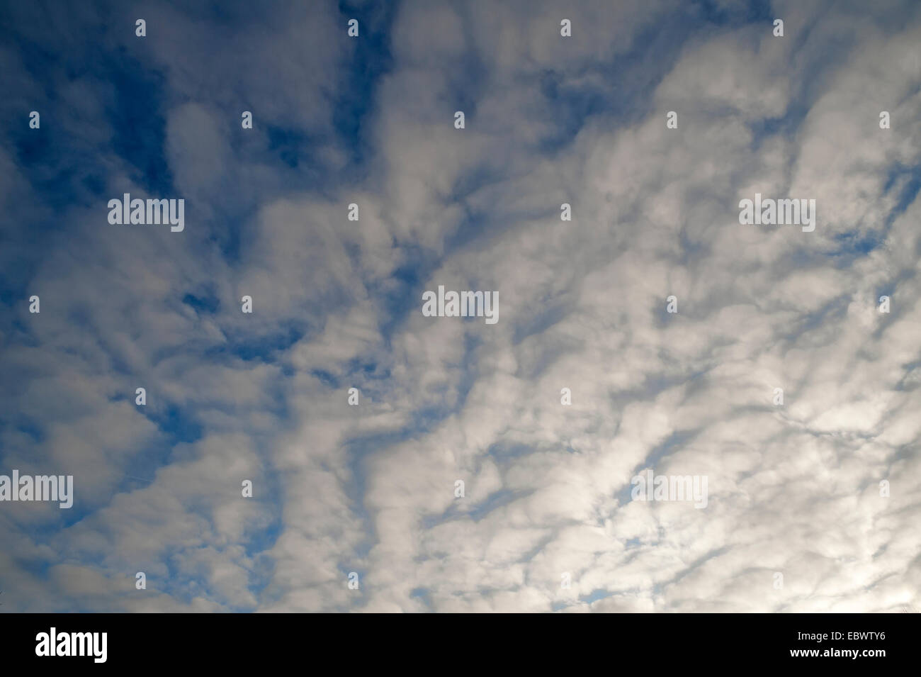 Fleecy clouds, altocumulus, Germany Stock Photo