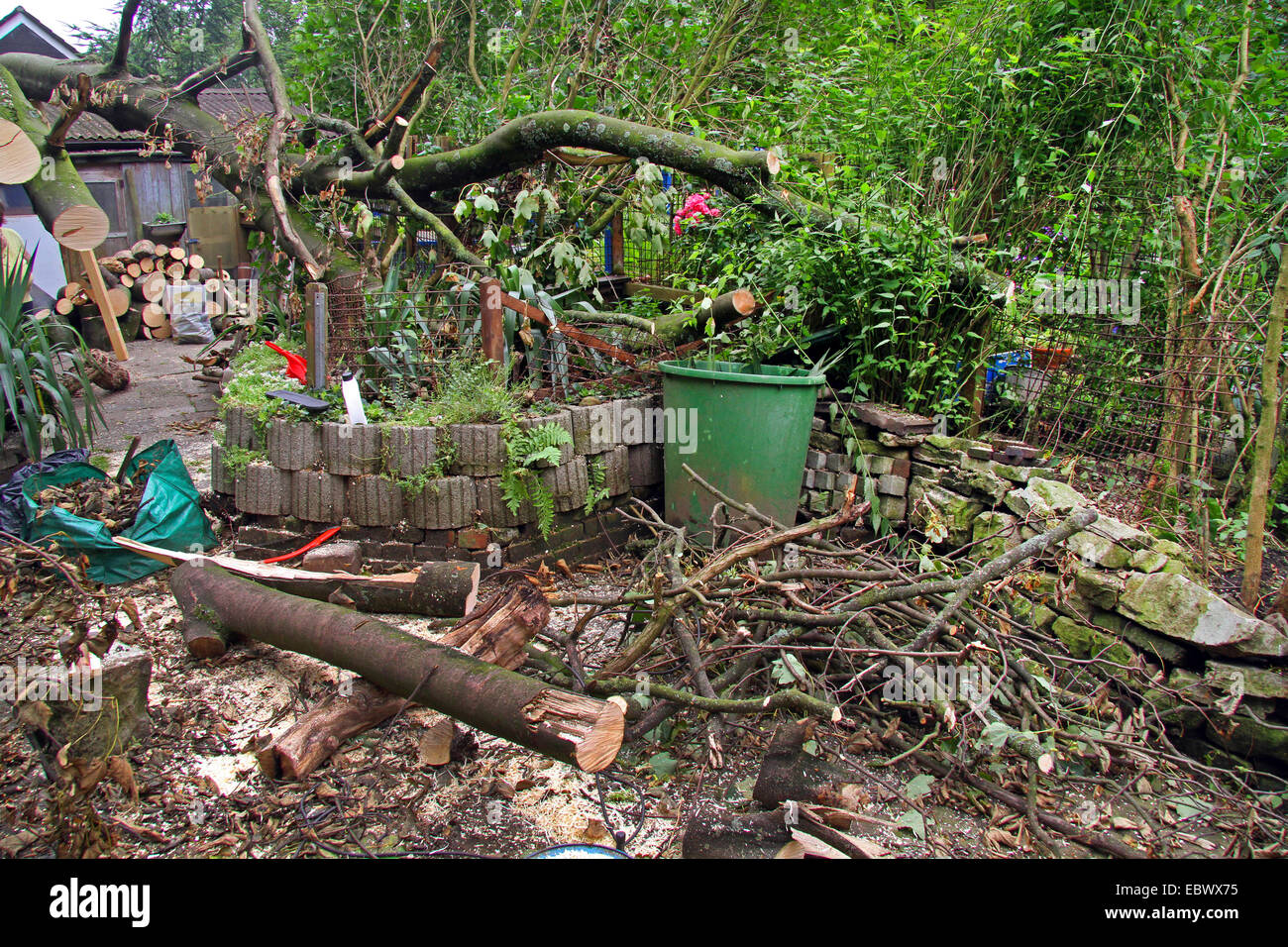 storm losses in a garden, Germany Stock Photo