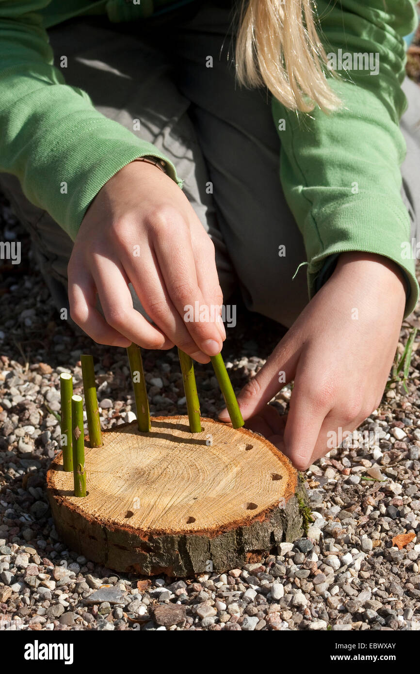 girl building an Easter basket from a tree disc, willow twigs, moss, daisies and coloured eggs