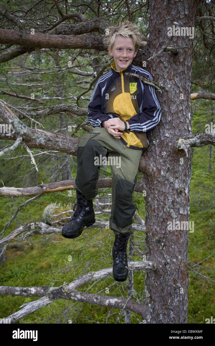 boy sitting in a tree, Norway Stock Photo