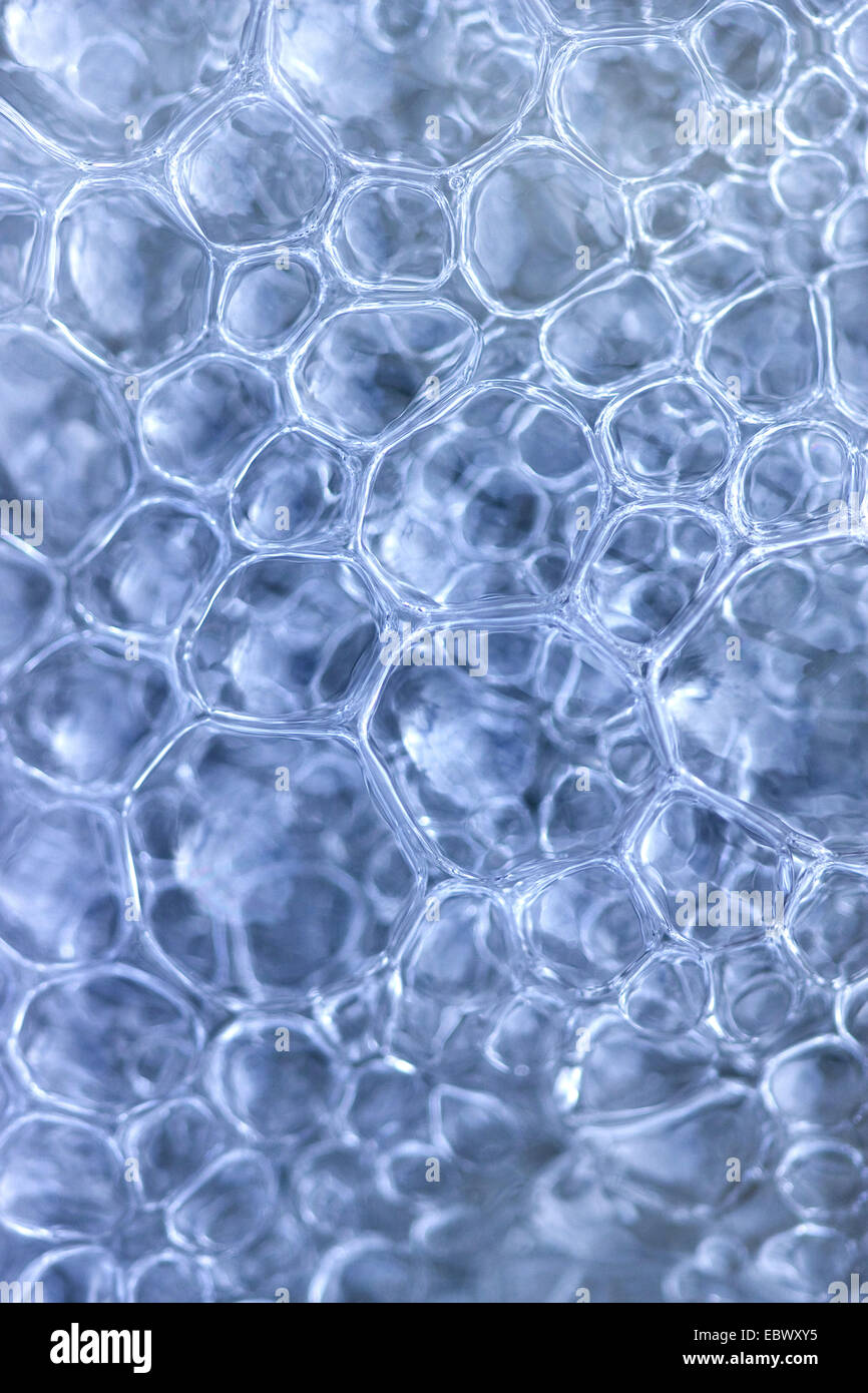 air bubbles in boiling water Stock Photo