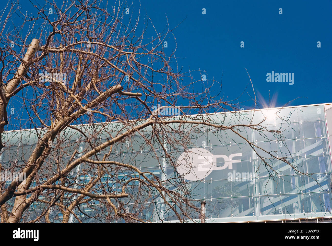 part of the glass cladding of the ZDF-building, Germany, Hamburg Stock Photo