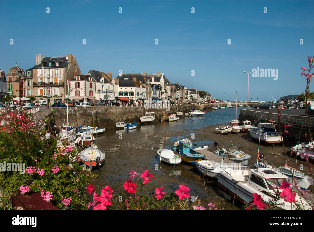port of Le Croisic, France, Brittany, Le Croisic Stock Photo - Alamy