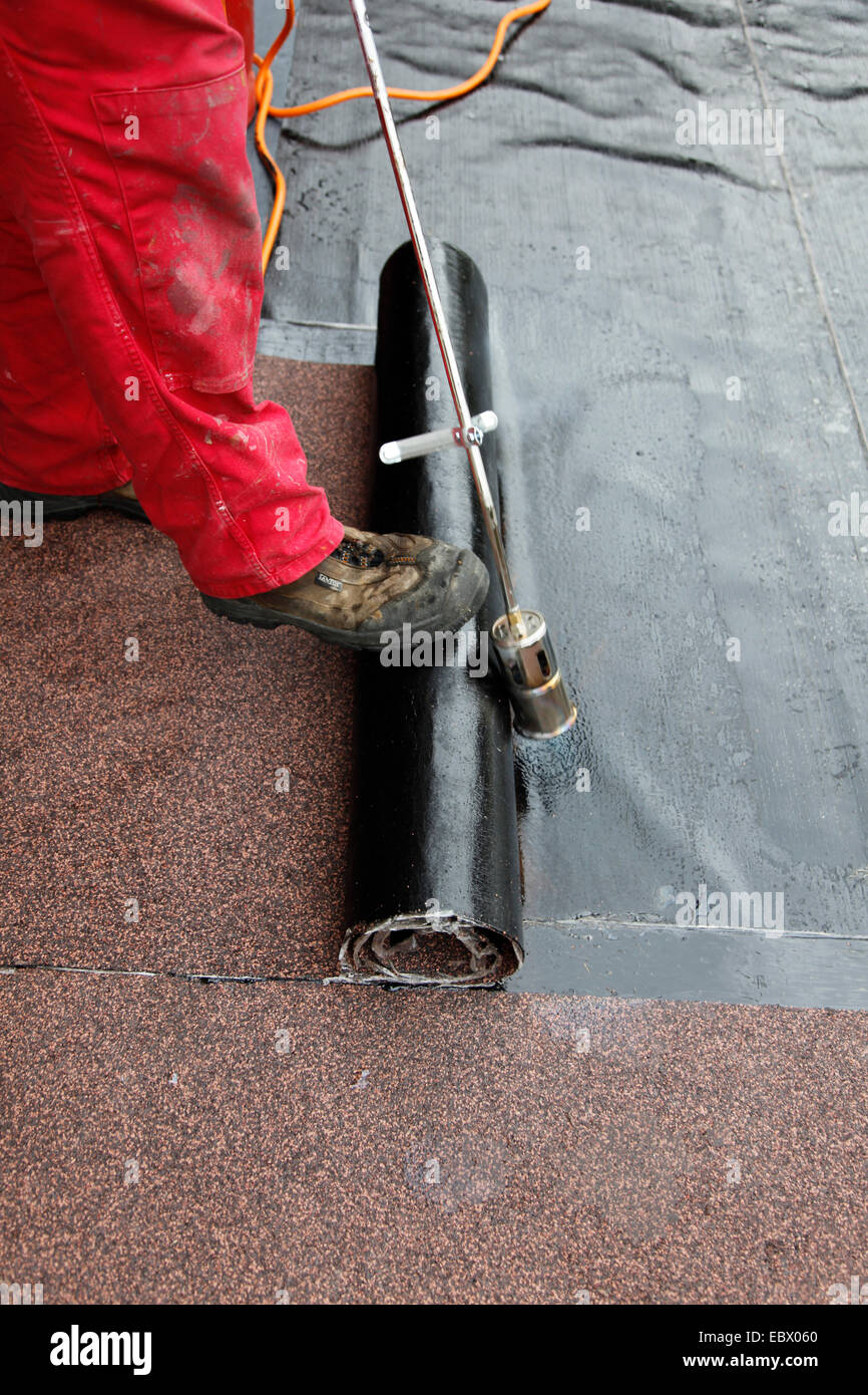 laying on tar paper Stock Photo Alamy