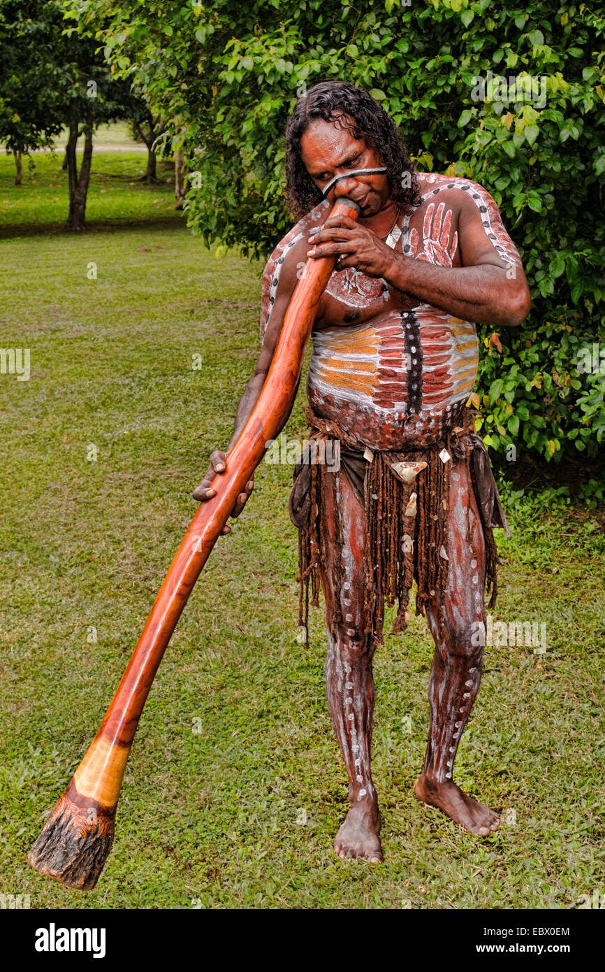 Aboriginal man with traditional body painting playing didgeridoo, Australia, Queensland Stock Photo