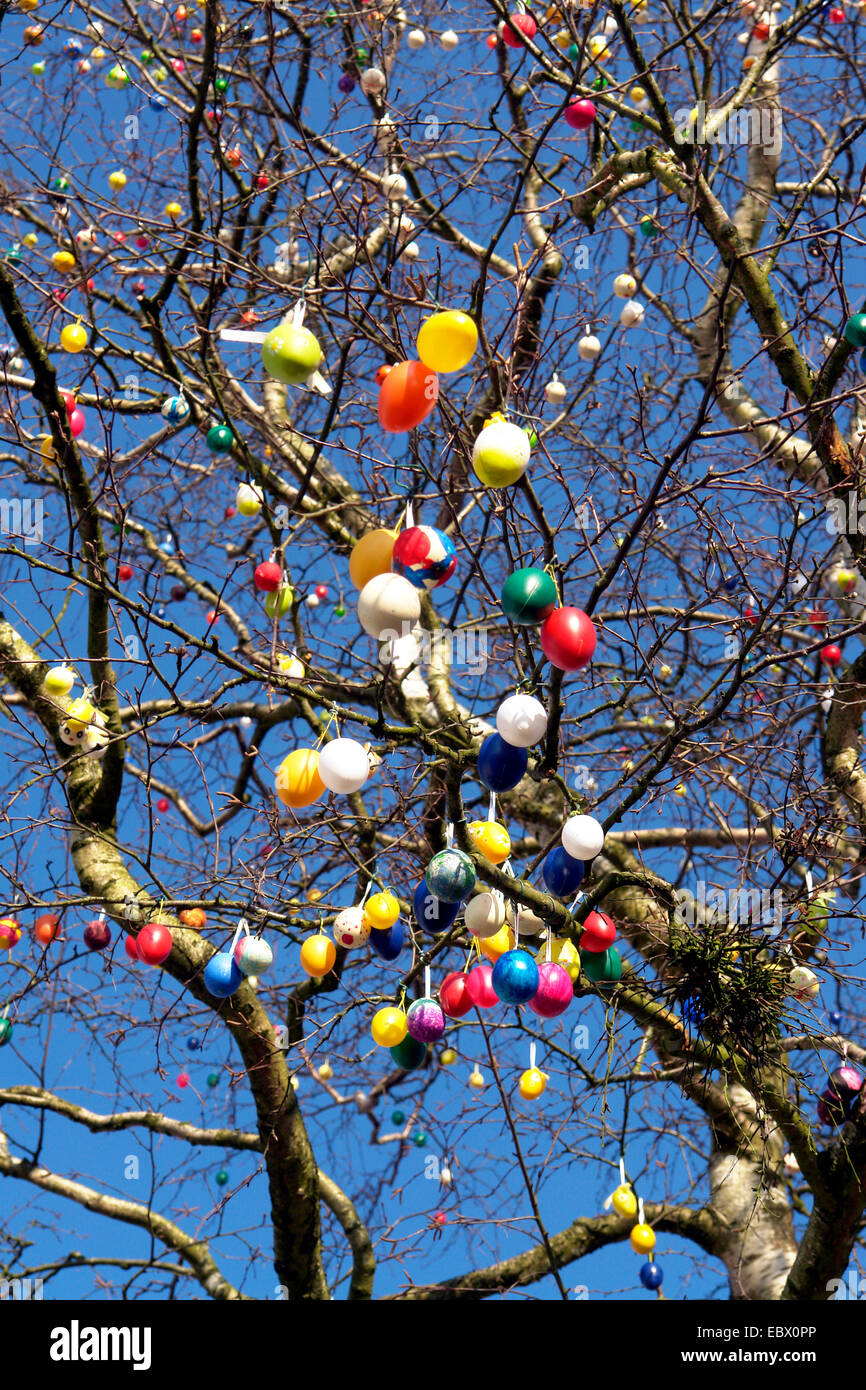 Tree with easter eggs, Germany Stock Photo Alamy