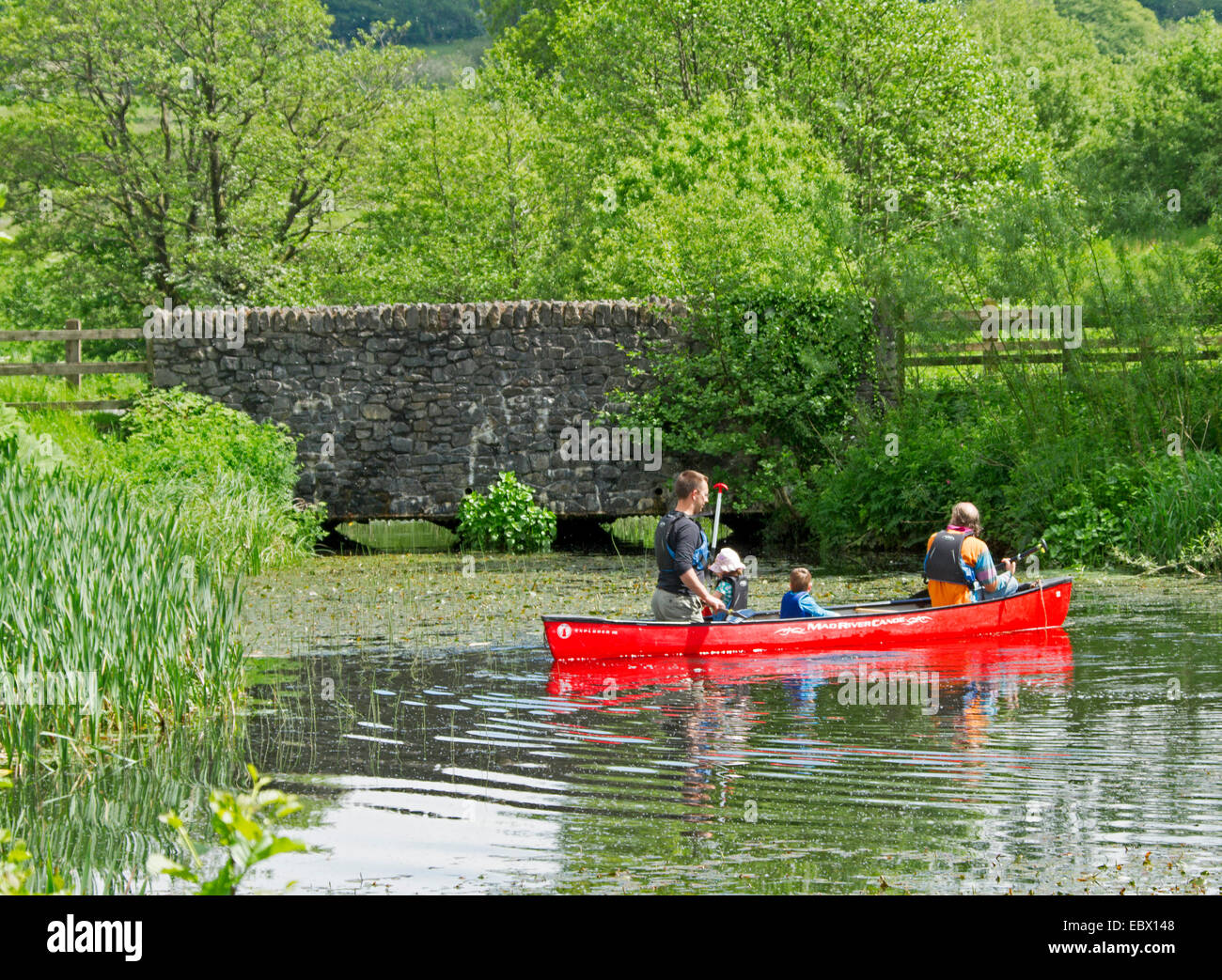 Family in bright red canoe paddling on lake surrounded by emerald vegetation & tall trees in National Botanic Gardens of Wales Stock Photo