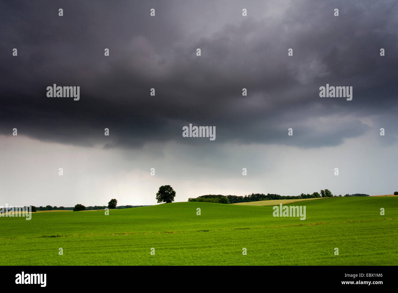 black clouds over field landscape, Germany, Saxony, Vogtlaendische Schweiz Stock Photo