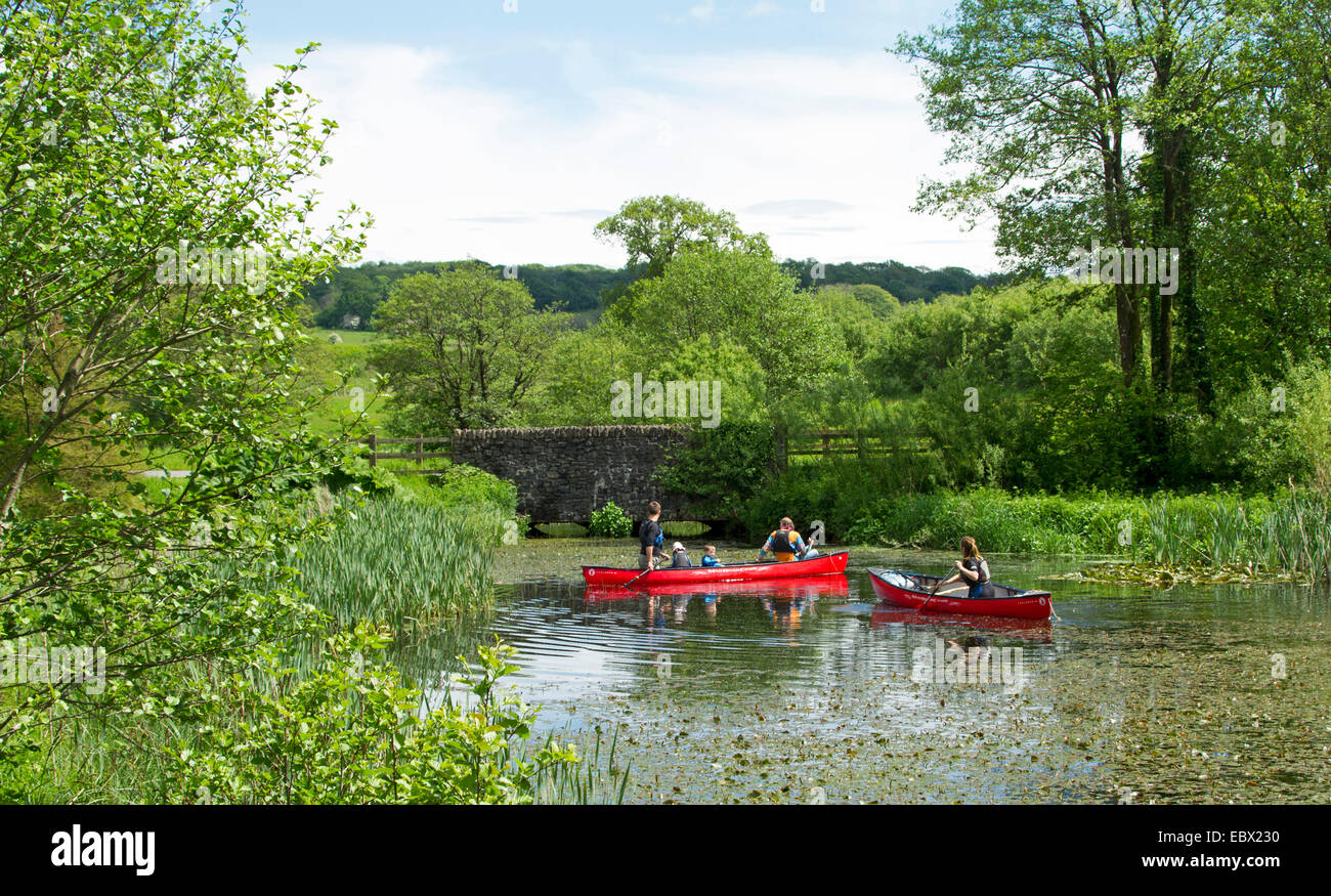 People in two bright red canoes paddling on lake surrounded by emerald vegetation & tall trees, National Botanic Gardens, Wales Stock Photo