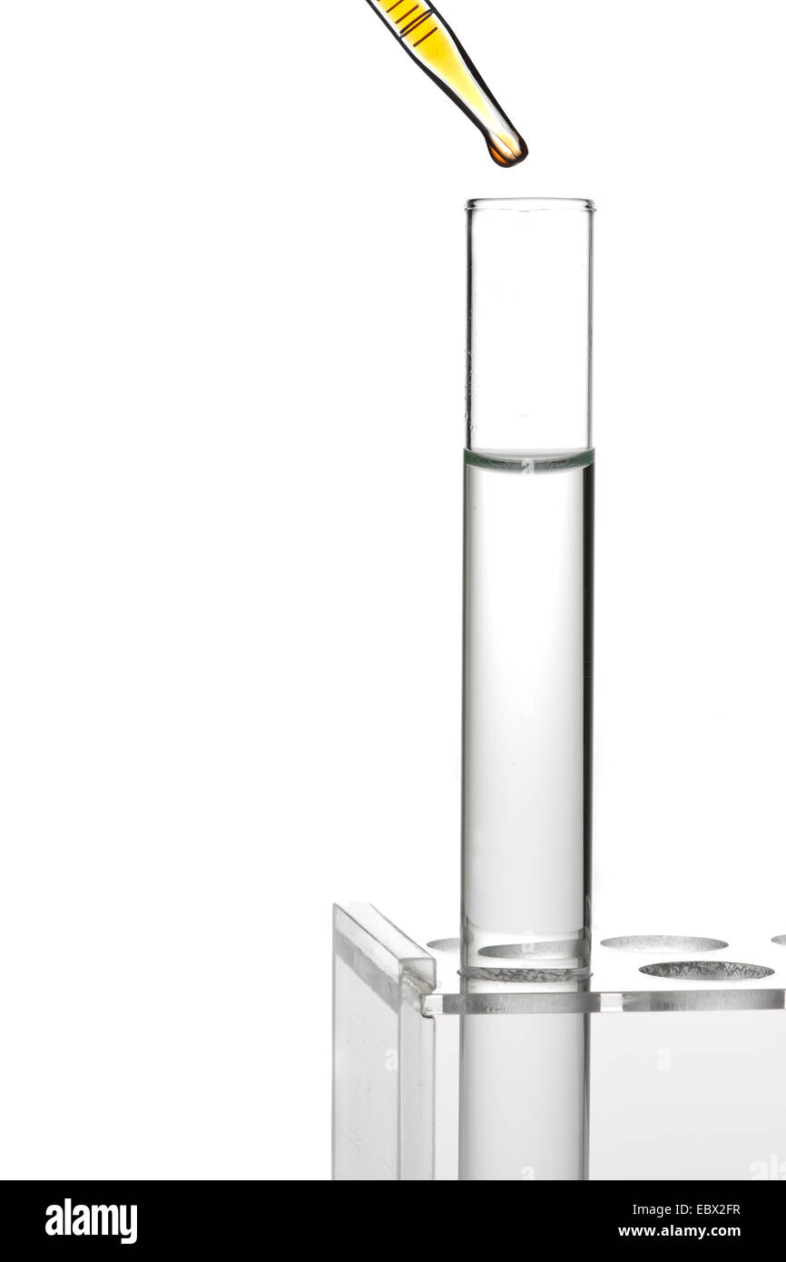 single test tube with colourless liquid standing in a test tube rack, a yellow liquid is dribbled into it with a pipette Stock Photo