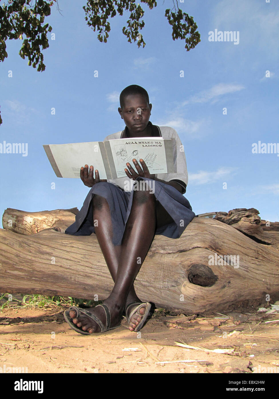former child soldier in northern Uganda around Gulu is being rehabilitated in a psychological centre with a vocational school, reading a school book, Uganda, Gulu Stock Photo