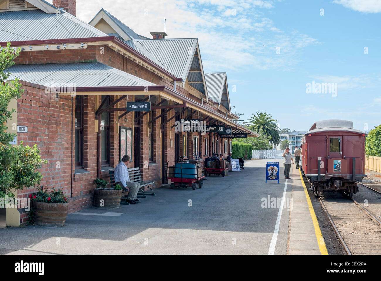 Are Dogs Allowed On The Cockle Train