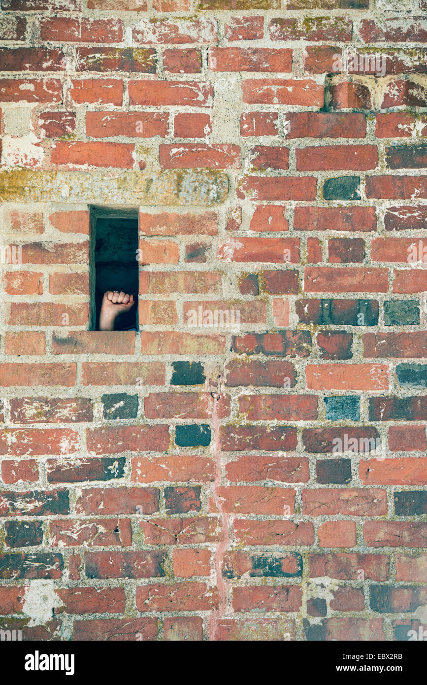 Hand making a fist in small opening of brick wall. Conceptual image of protest, prison and political prisoner. Stock Photo