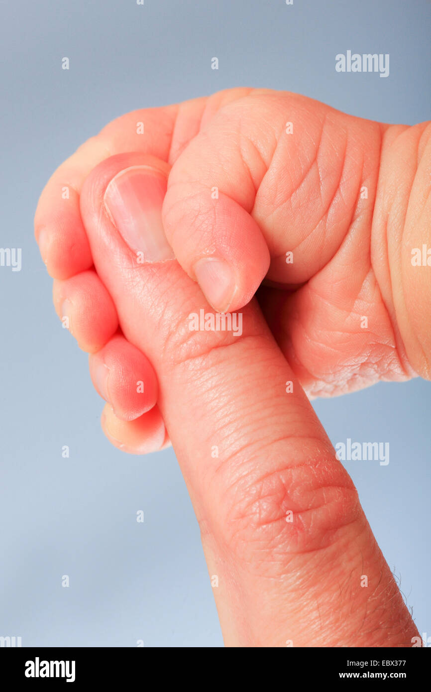 a baby's hand holding the father's forefinger Stock Photo