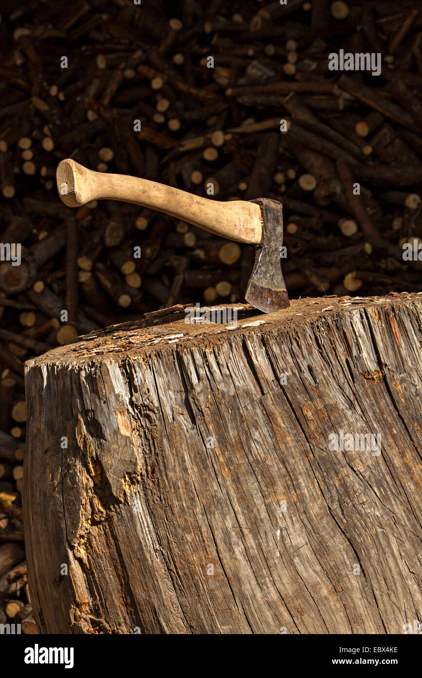 Small Axe embedded into a wood chopping block Stock Photo