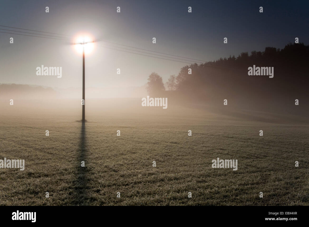 morning mist over field landscape with power pole, Germany, Saxony, Vogtlaendische Schweiz Stock Photo